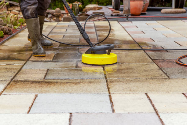 Best Fence Cleaning  in Mims, FL