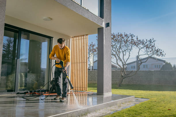 Best Driveway Pressure Washing  in Mims, FL